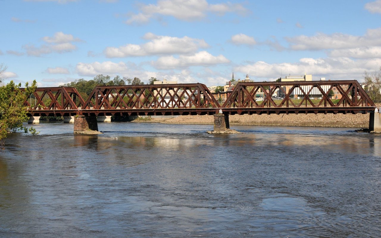 Shelton