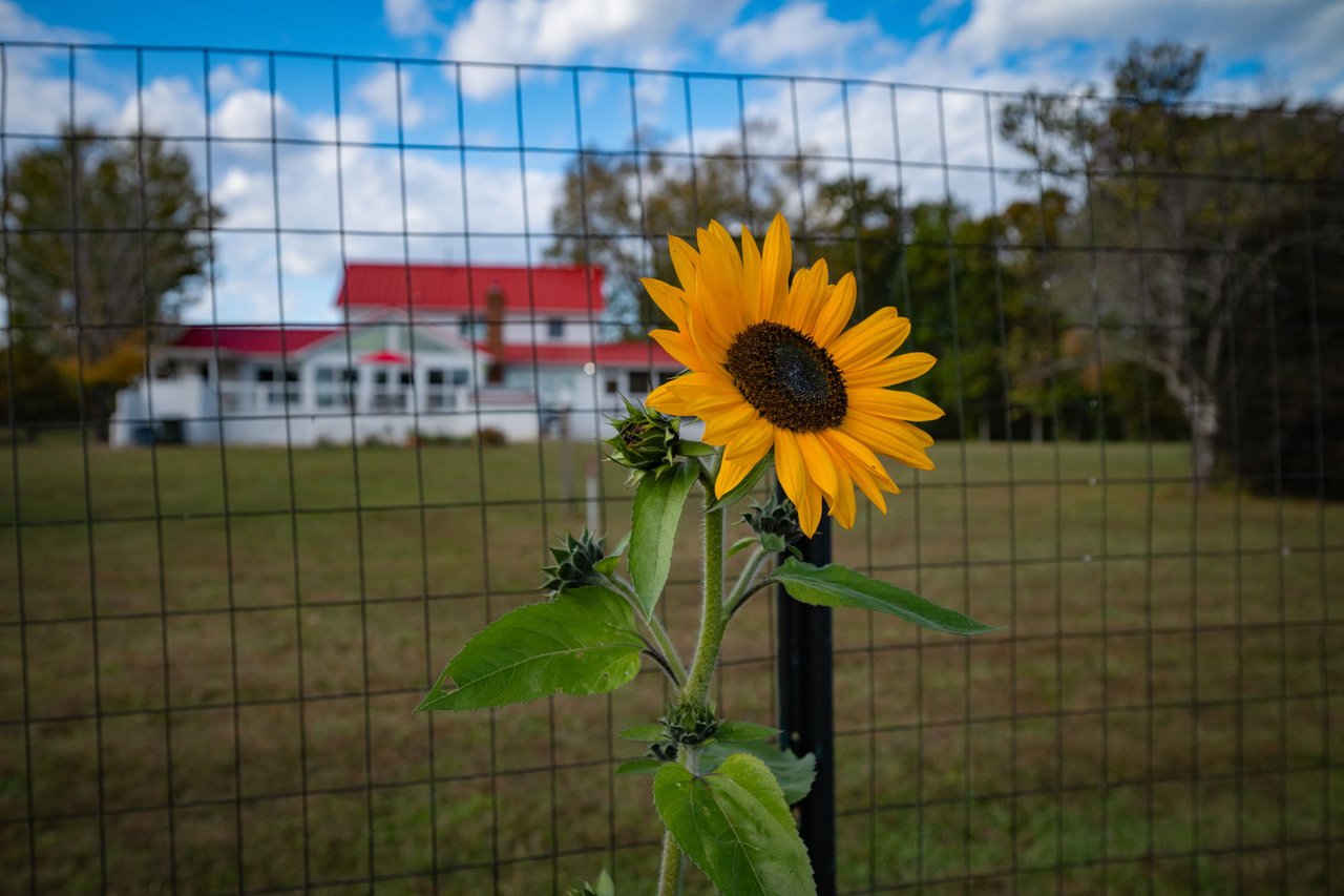 1260 Beaver Island Trail Road