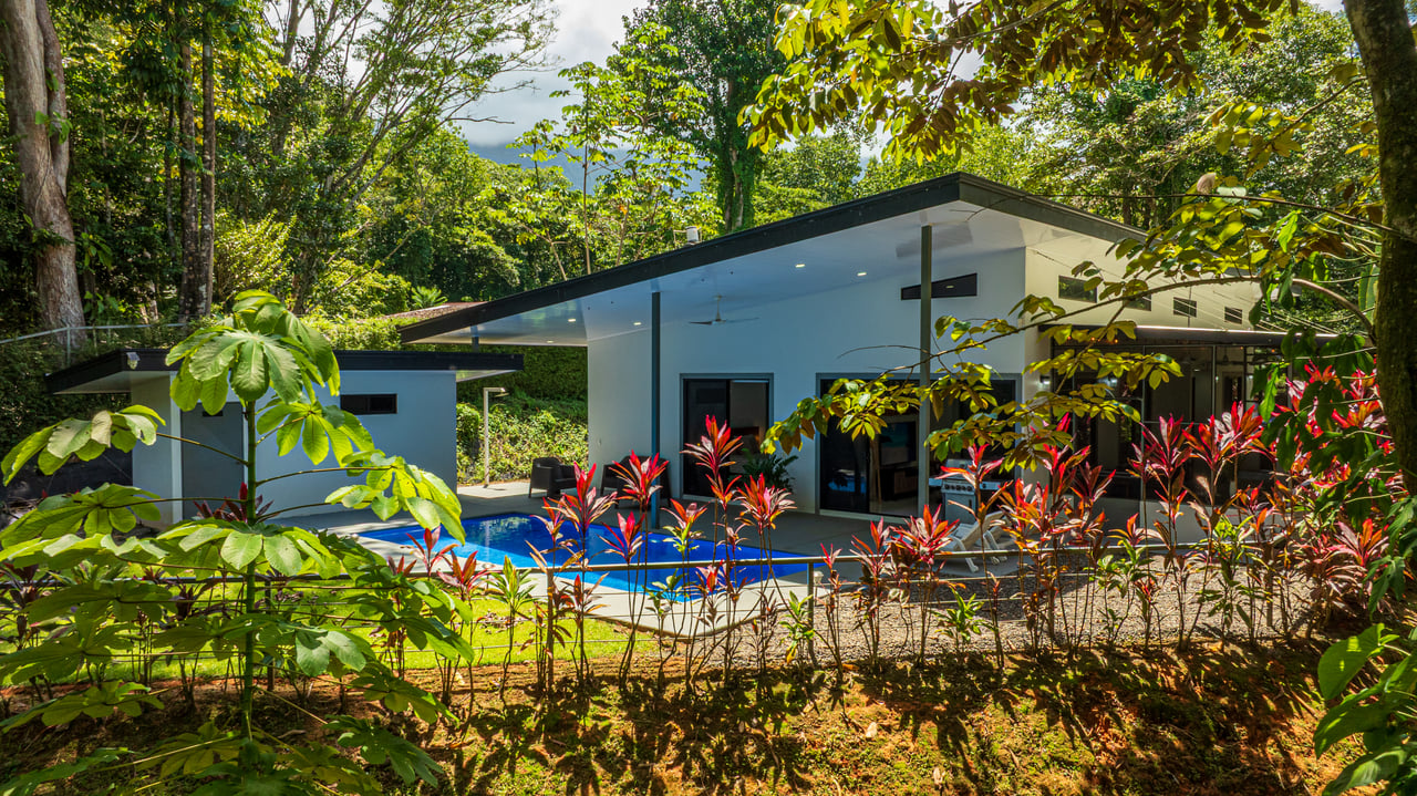 Cinco Ventanas Jungle Life Redefined