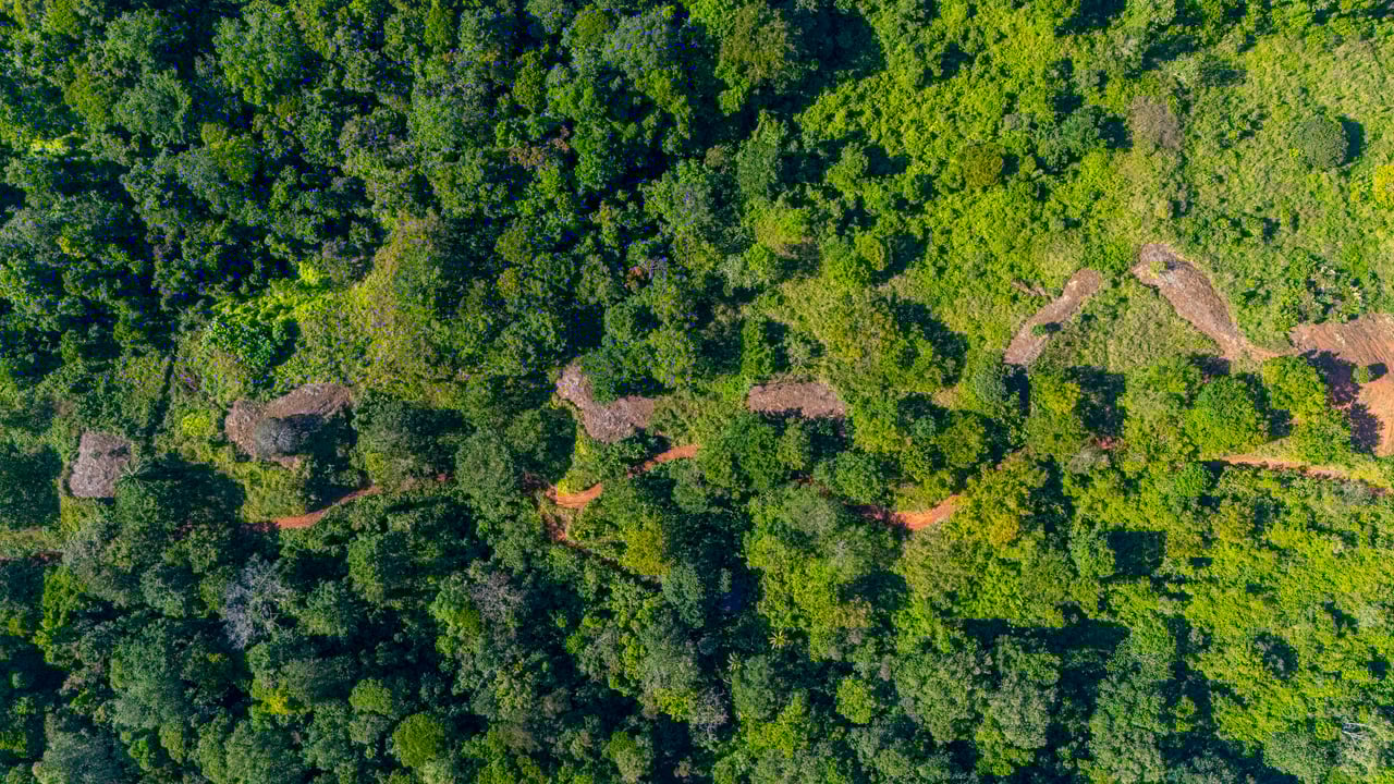 67 acres development (15 titled lots) with breathtaking views in Sierpe