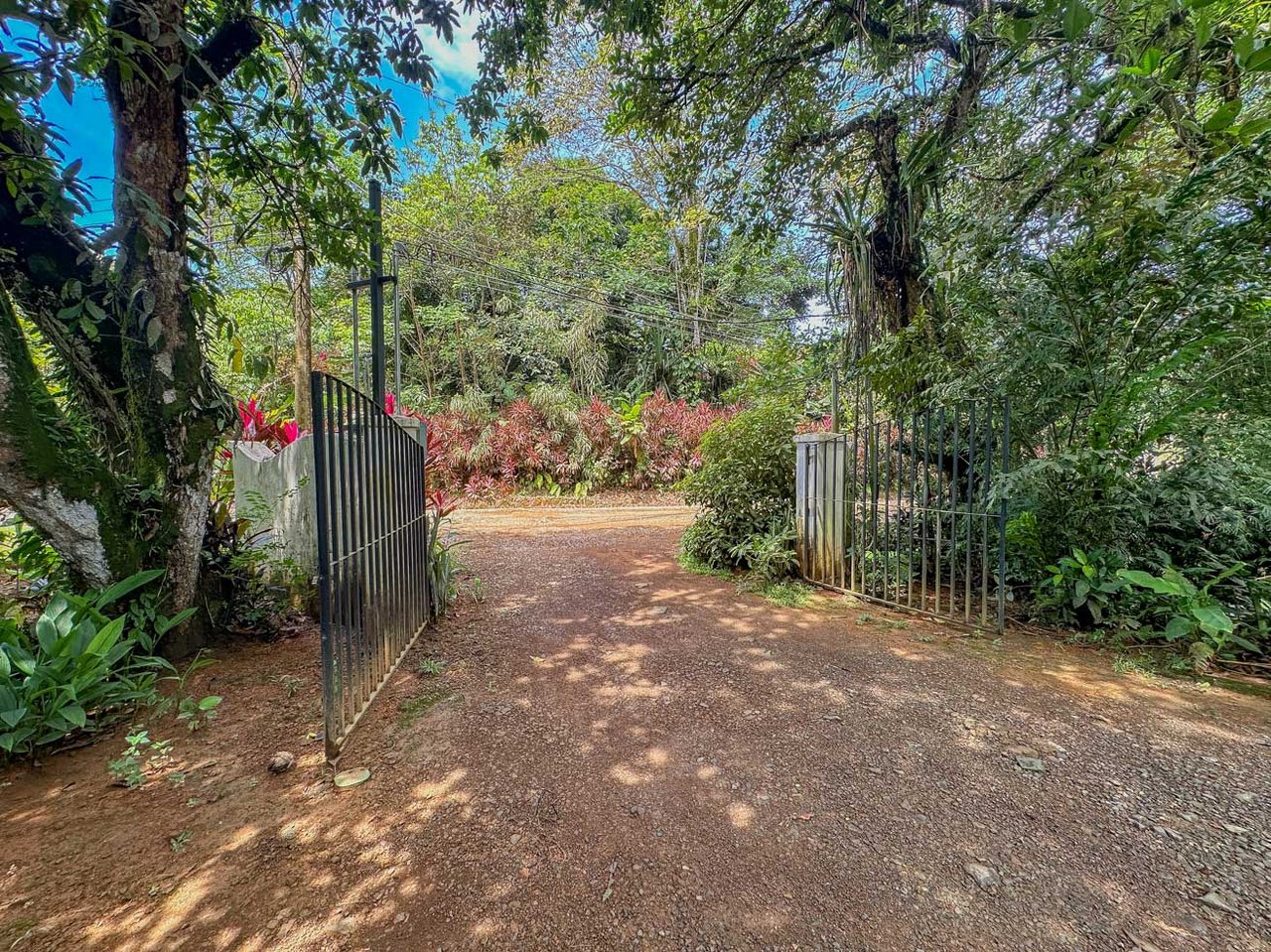 Ojochal Jungle Retreat for Sale with River, Pool, and Income-Generating Casitas