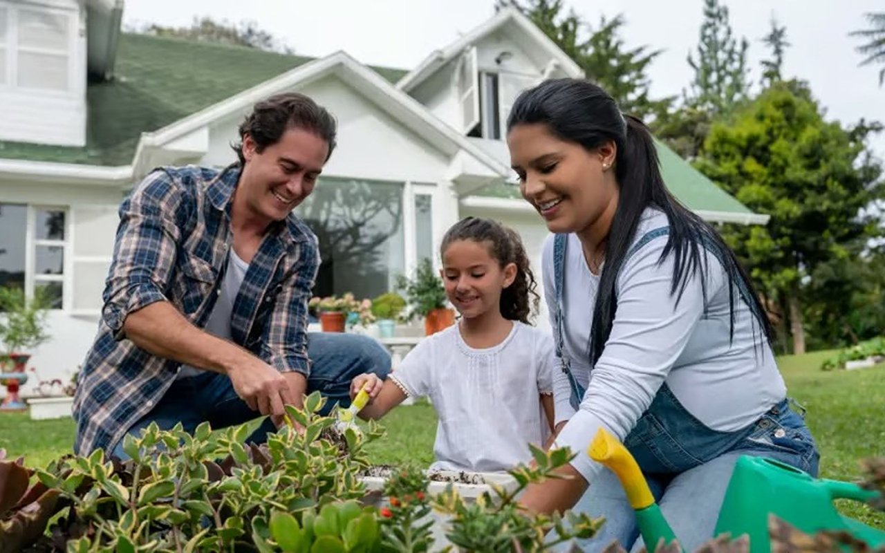 Simple Steps for a Greener Home Lifestyle