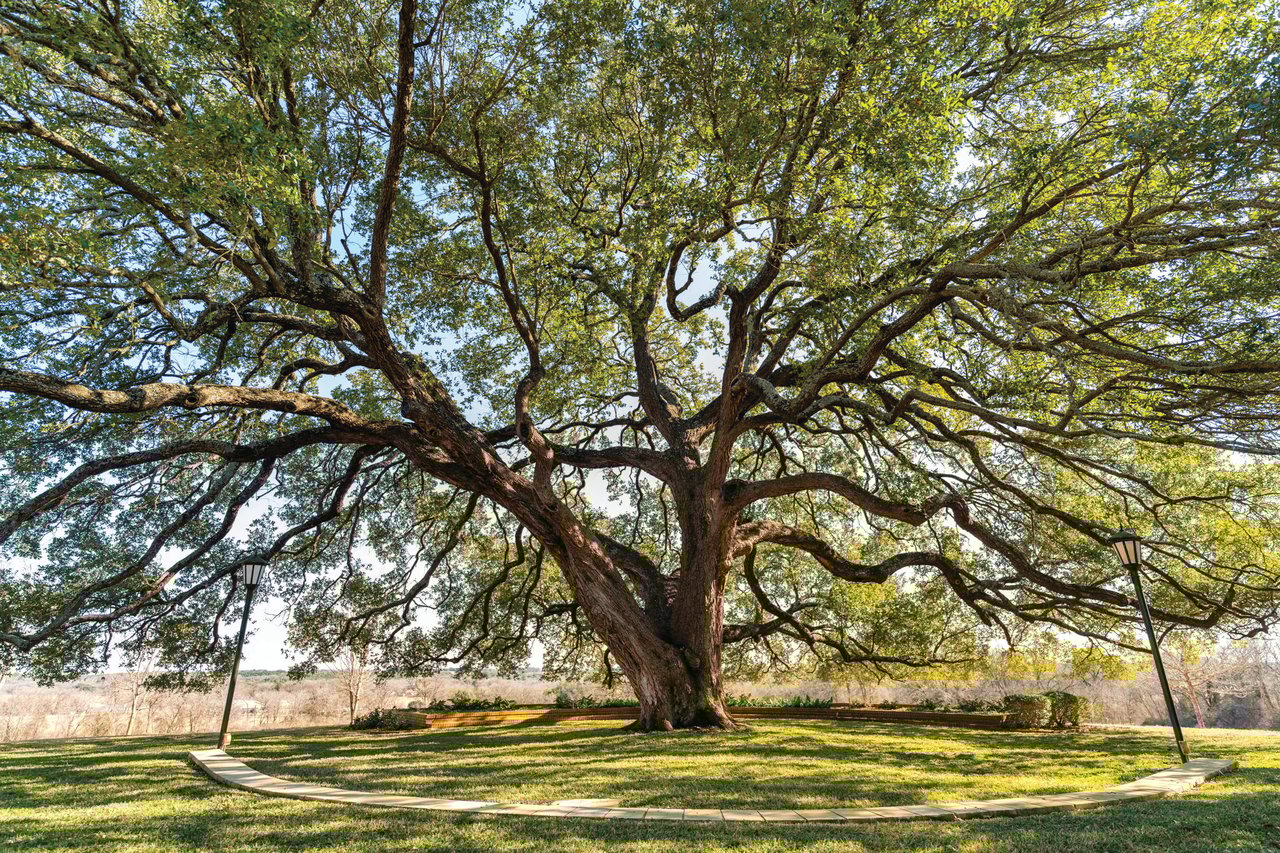 Summers Mill Ranch: A Texas Legacy Estate