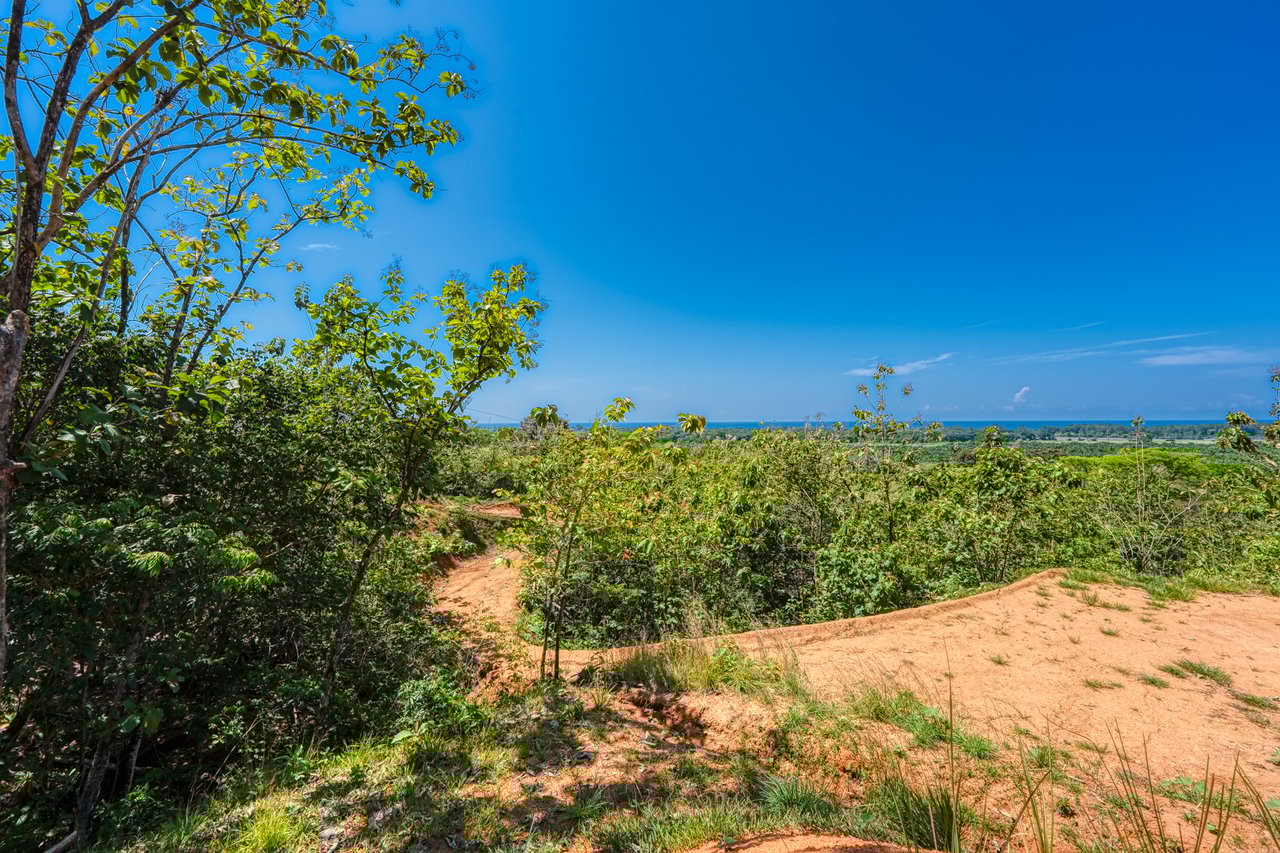 ¡New Gated Development in Matapalo - Ocean View and Flat Land, ready to build!