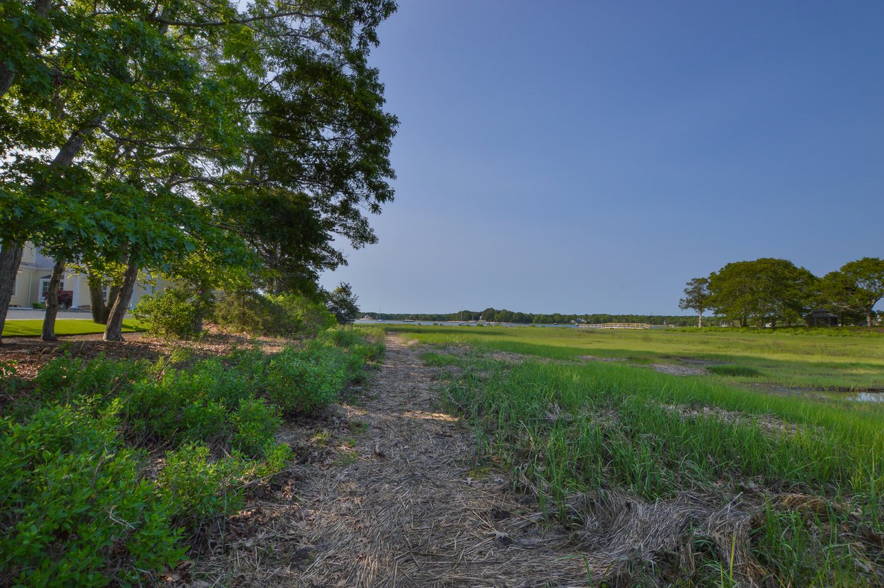 Water Views on Little Island