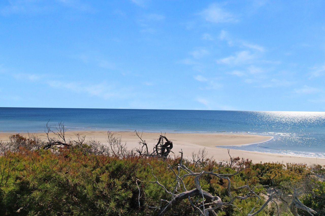 beach views in carrabelle, florida  on dog island