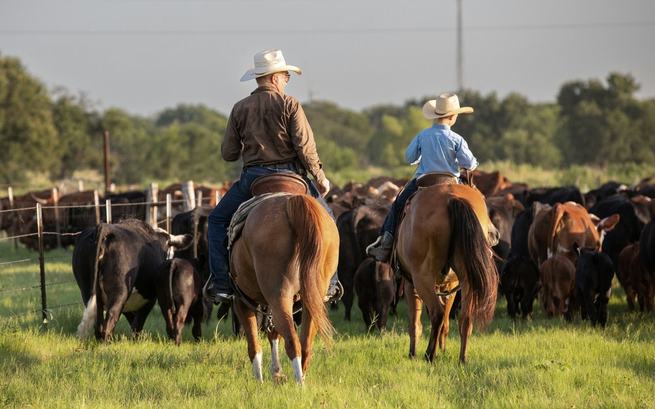 Atascosa County Land