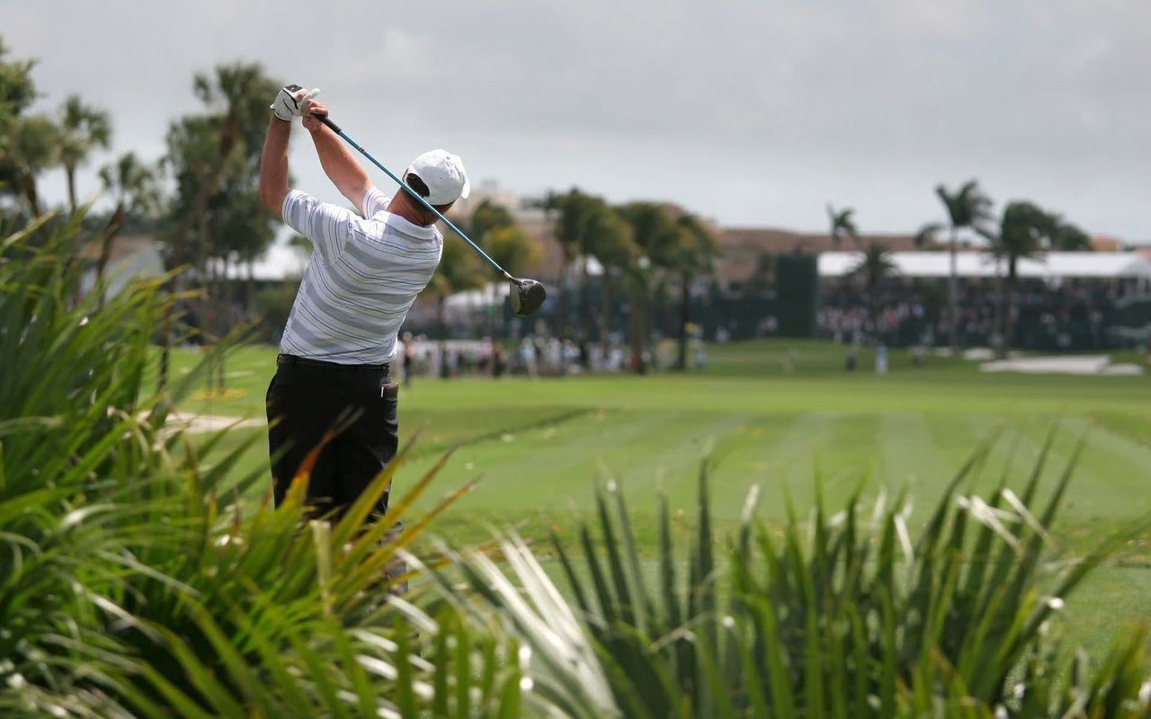 Carolina’s 2025 Fall Market Insight