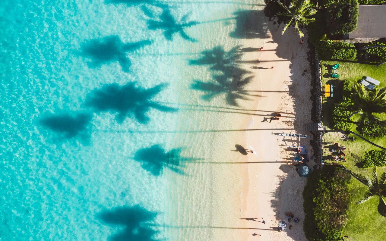 Turquoise water meets a sandy beach, with palm shadows stretching across the shore.