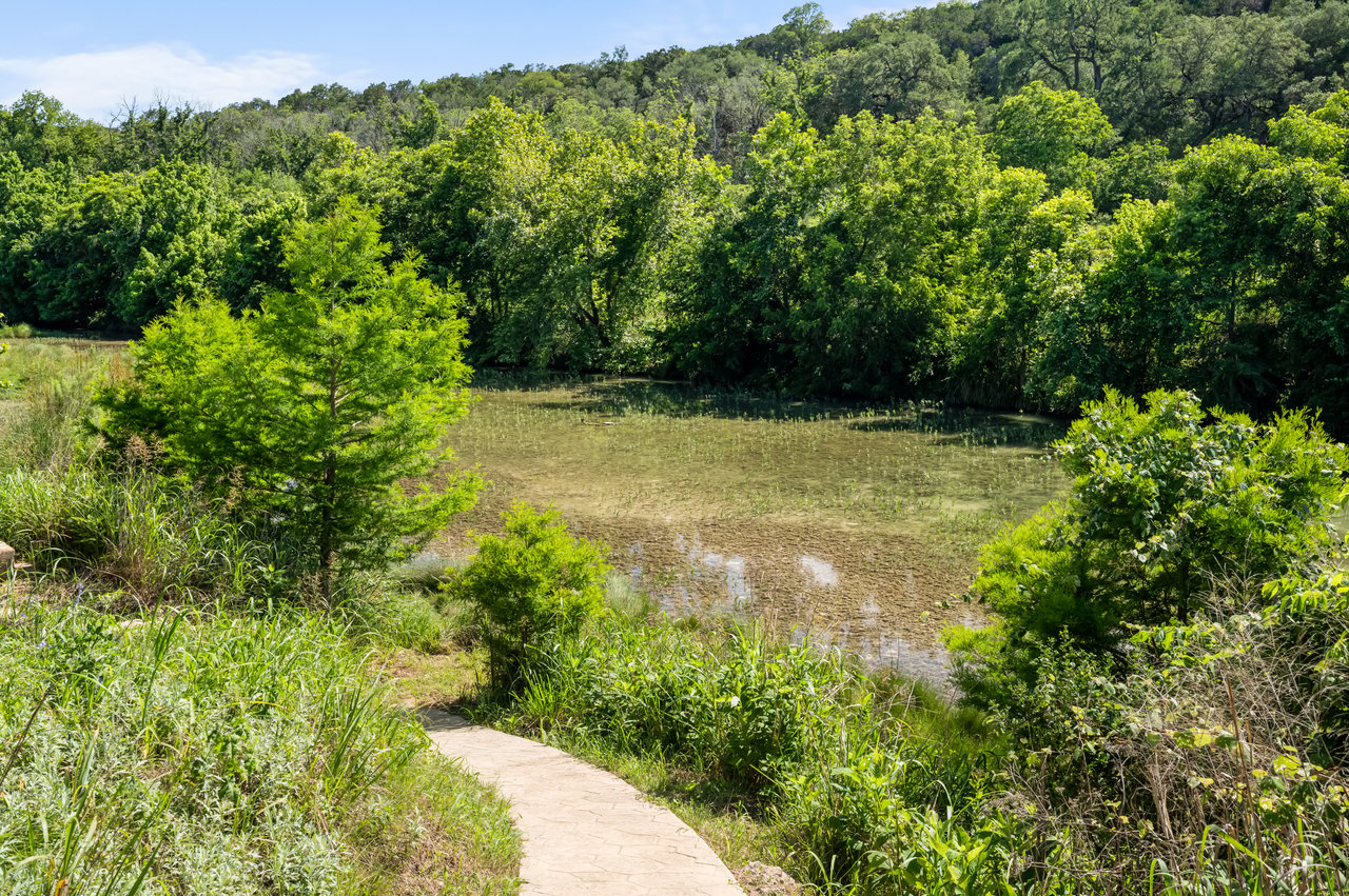 Wooded pond bordered by dense greenery, viewed from a curving stone path.