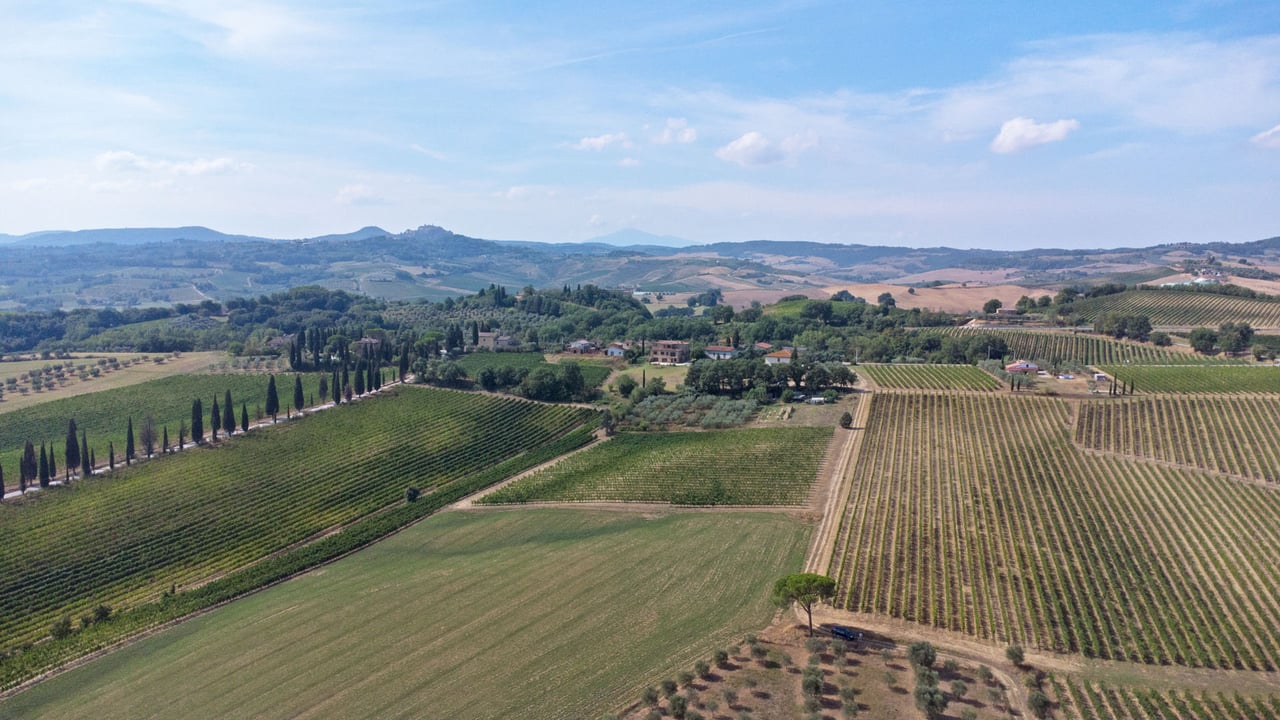 AZIENDA VITIVINICOLA ASCIANELLO