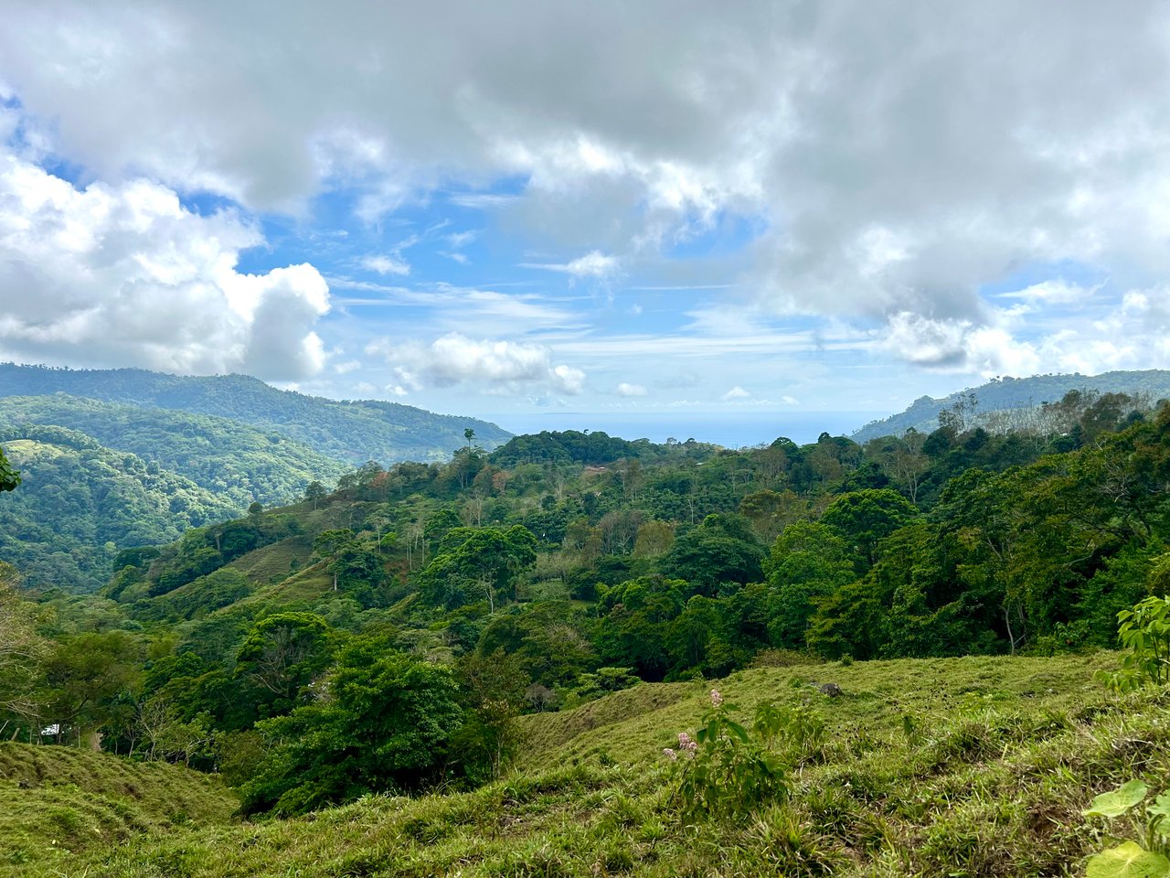 Gorgeous Land in San Luis Morete - Uvita - Over 17 Acres
