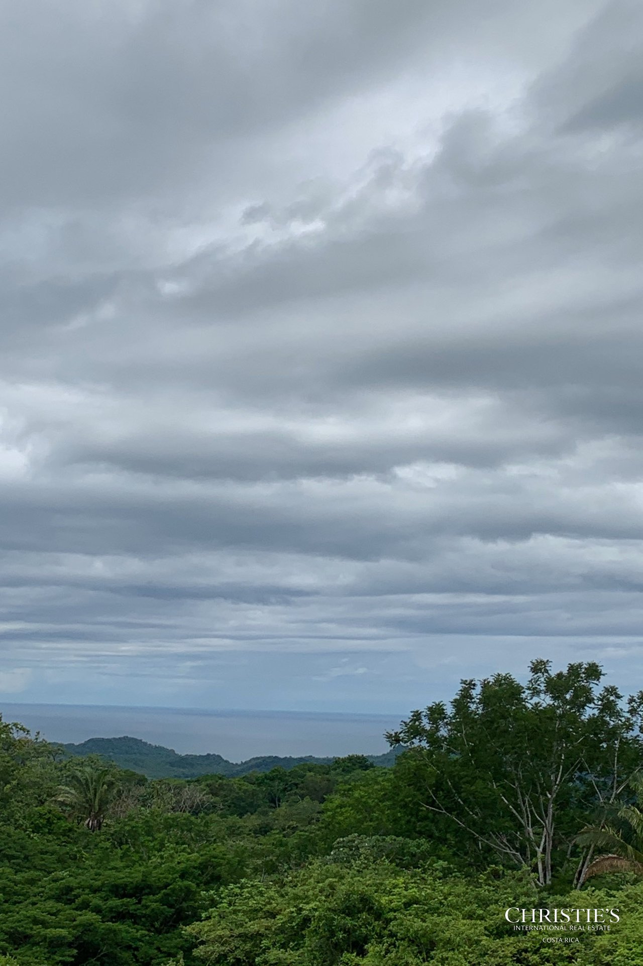 Finca Naranjalito