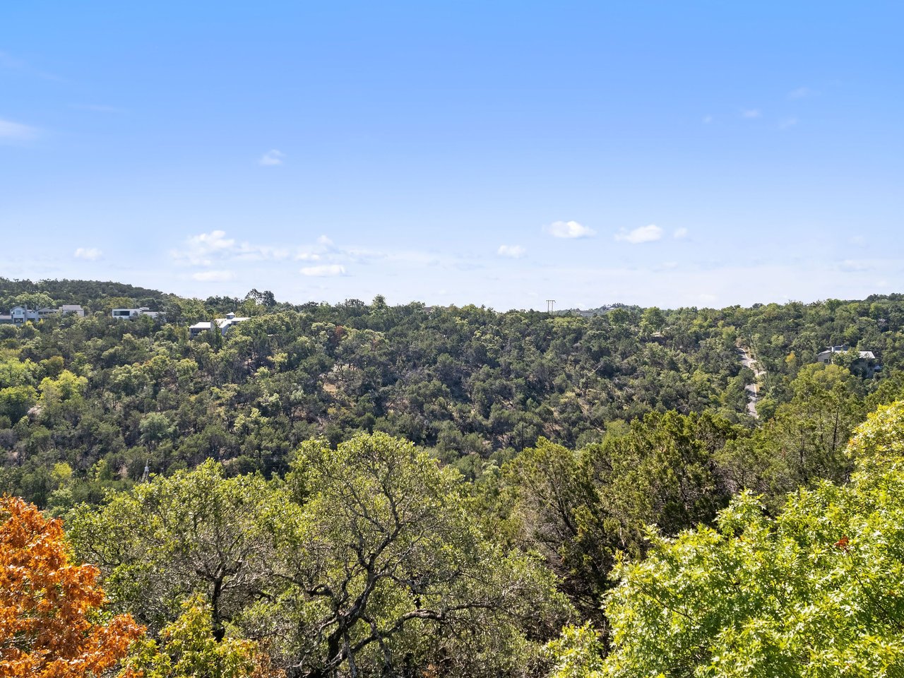 1906 Yaupon Valley Road