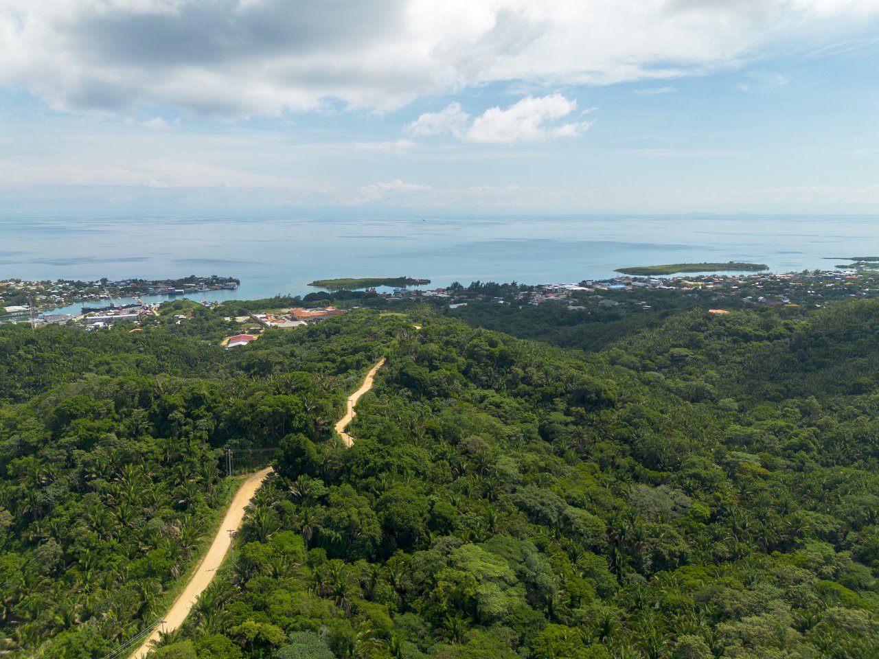 Ex-Canopy French Harbour, 59 acres