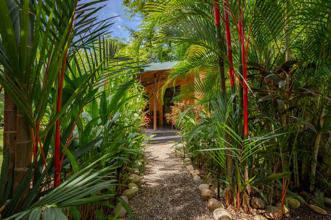 Walk to the Whale Tail Turn-Key Coastal Living & Income Opportunity in Uvita