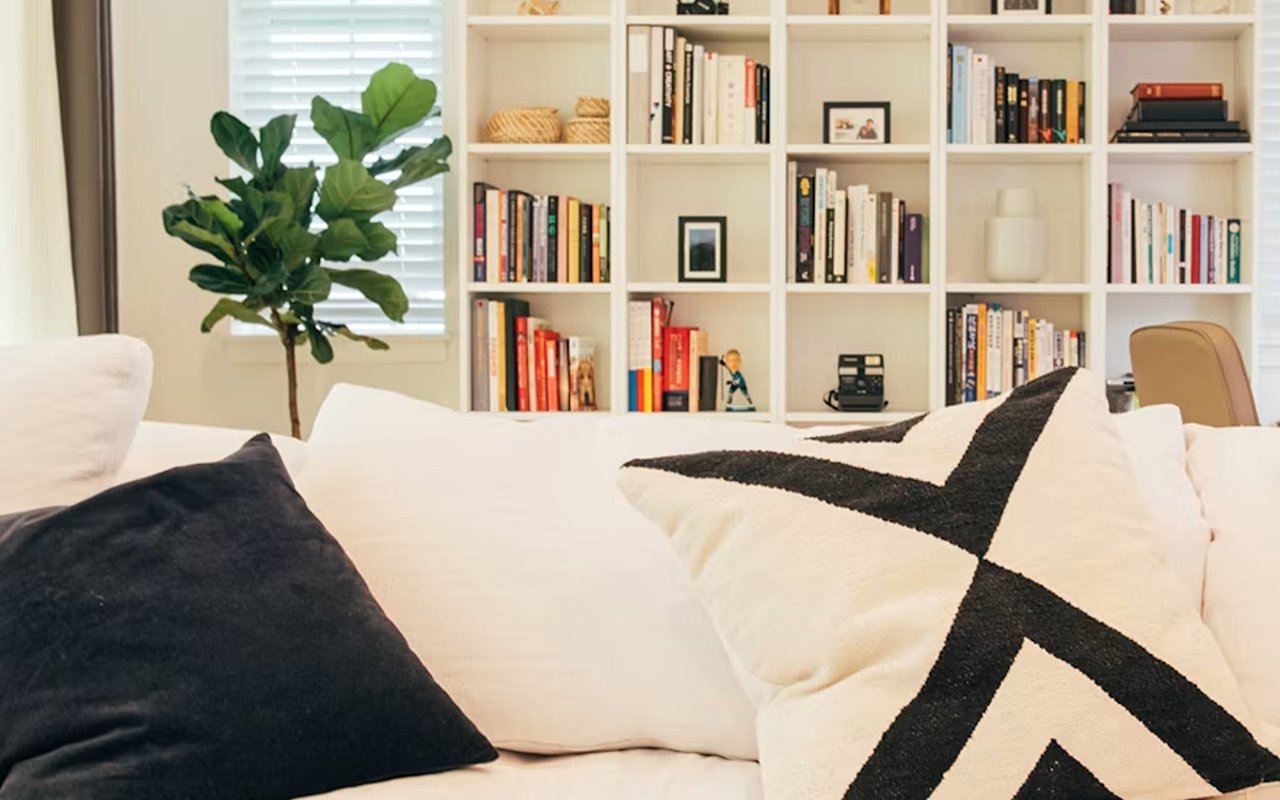 Living room with a white sofa, bold black-and-white pillows, a potted plant, and built-in bookshelves.