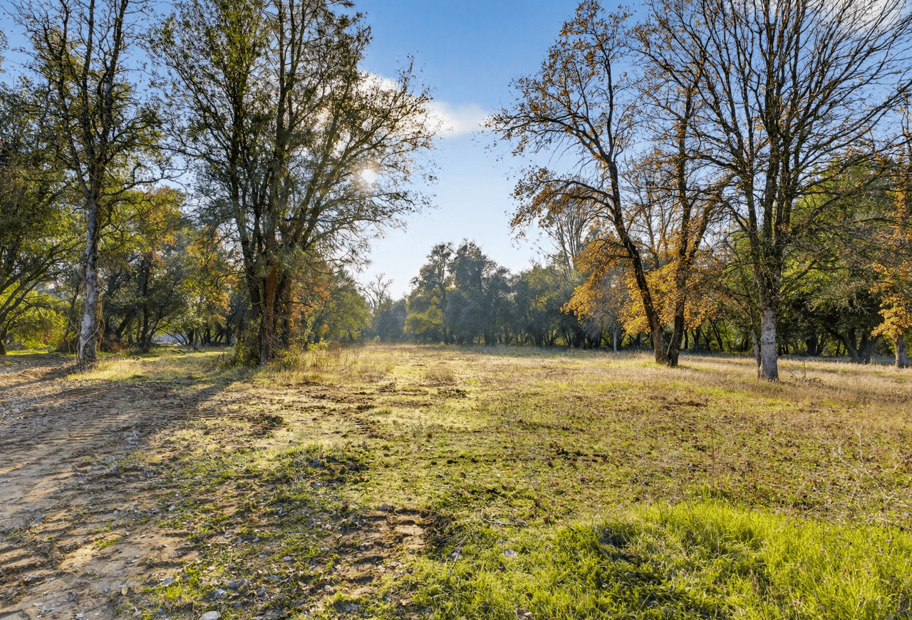 Duke Dr in Palo Cedro