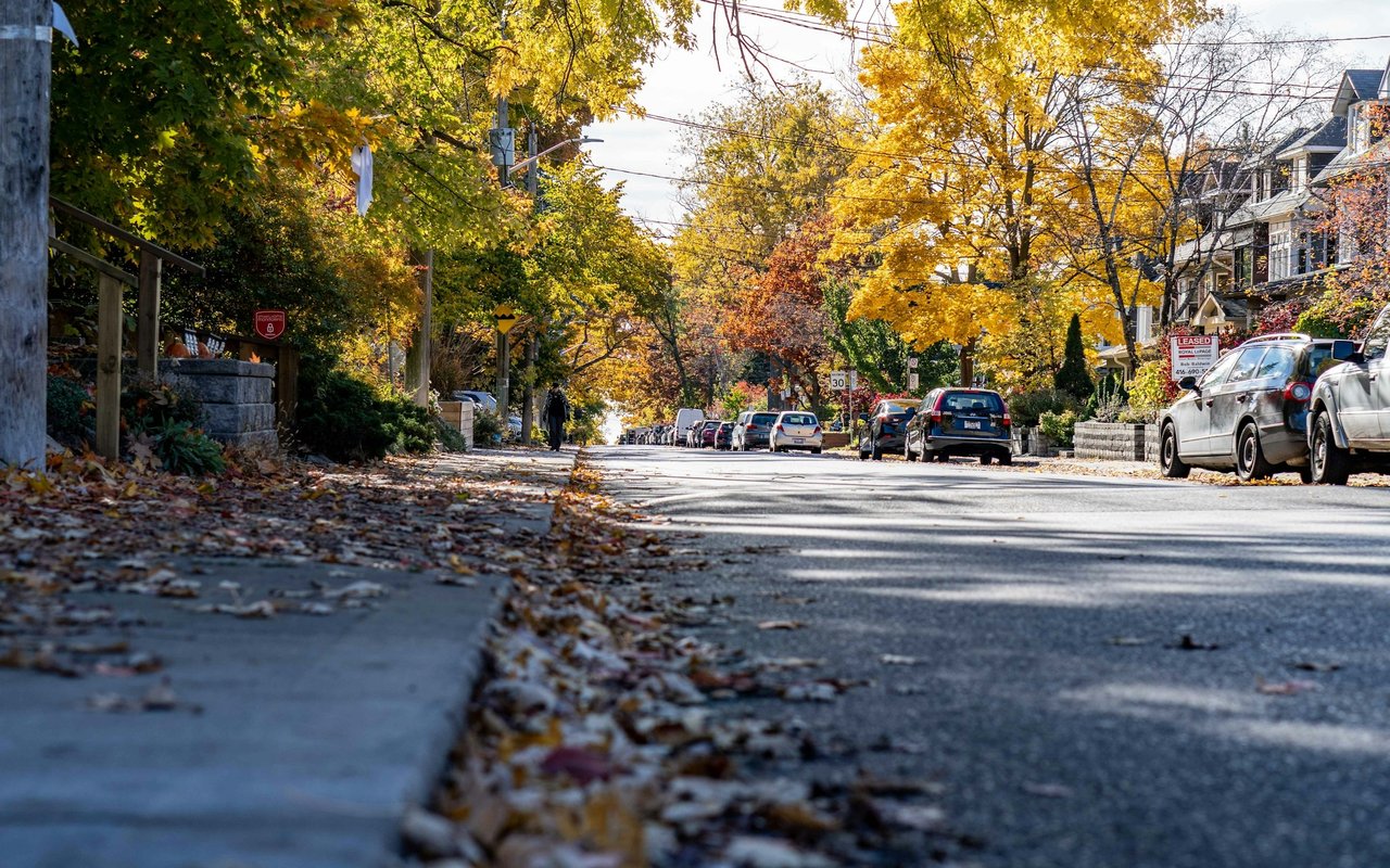 Residential street lined with homes and parked cars beneath autumn trees.