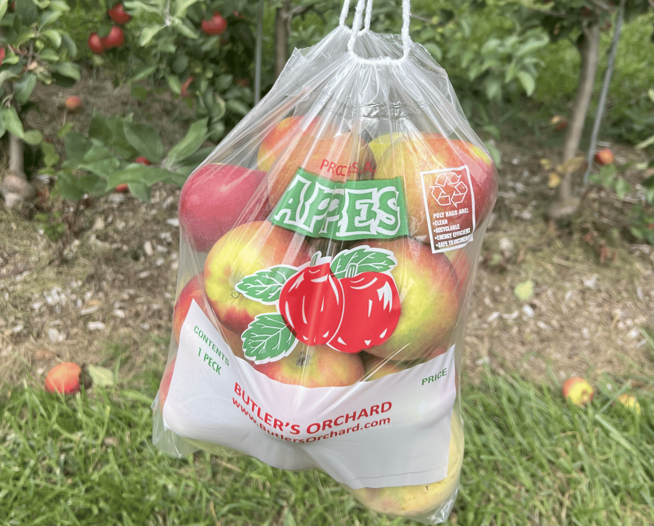 Apple Picking Near DC – Pearlman Meekin & Co