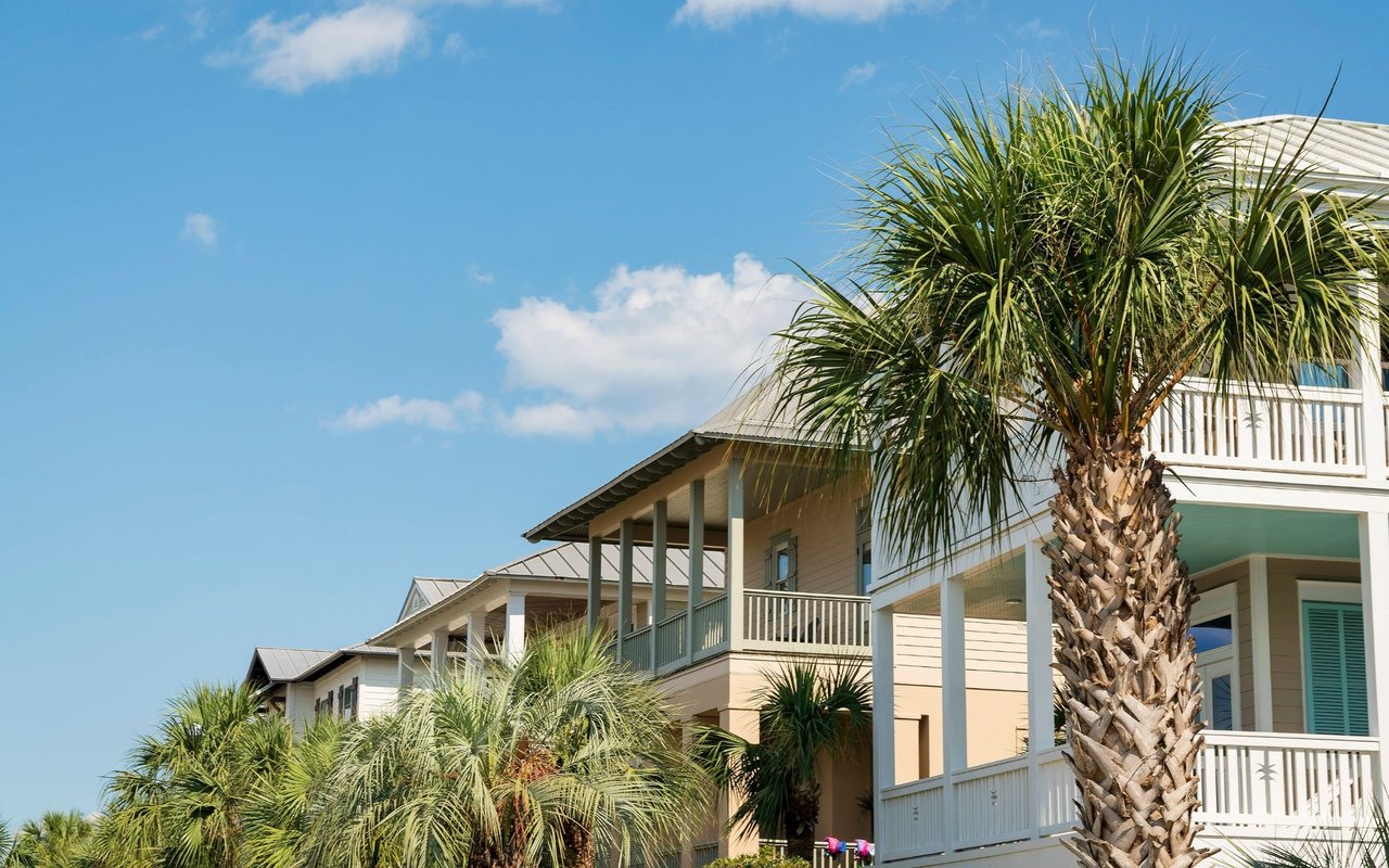 Coastal-style homes with raised porches and metal roofs framed by palm trees.