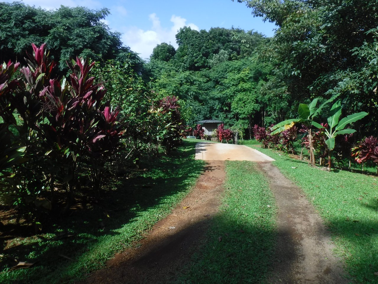 PRINCEVILLE AGRICULTURAL NORTHSHORE KAUAI