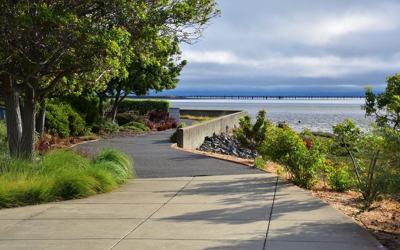 Burlingame waterfront path bordered by trees, overlooking the bay and a long bridge.