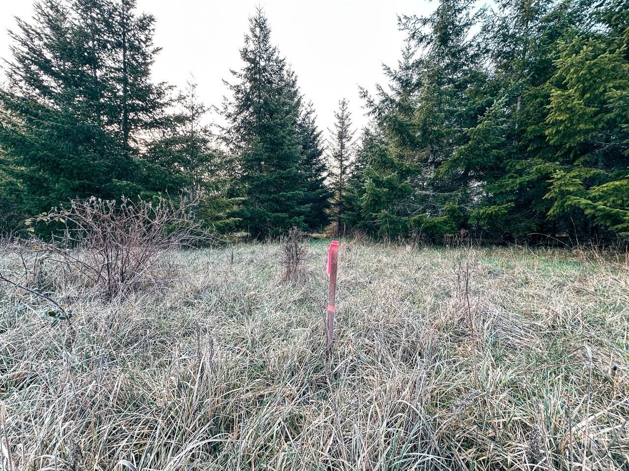 HARRIS FARM & FOREST