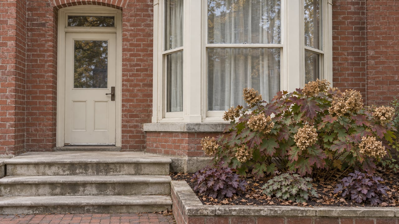 Close view of a red-brick home's cream-painted entrance and window bay, worn limestone steps and a small autumn garden.
