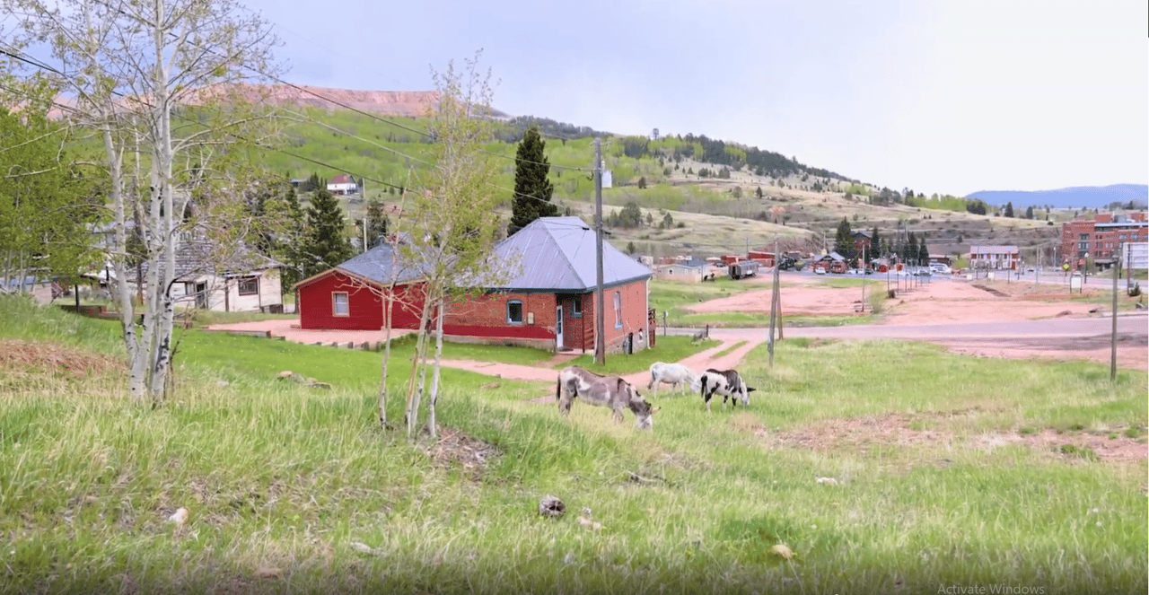 A Colorado Classic: Inside Cripple Creek’s Donkey Derby Days