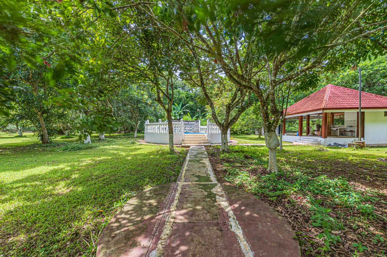 Private Tropical Estate with Pool & Fruit Gardens In San Isidro