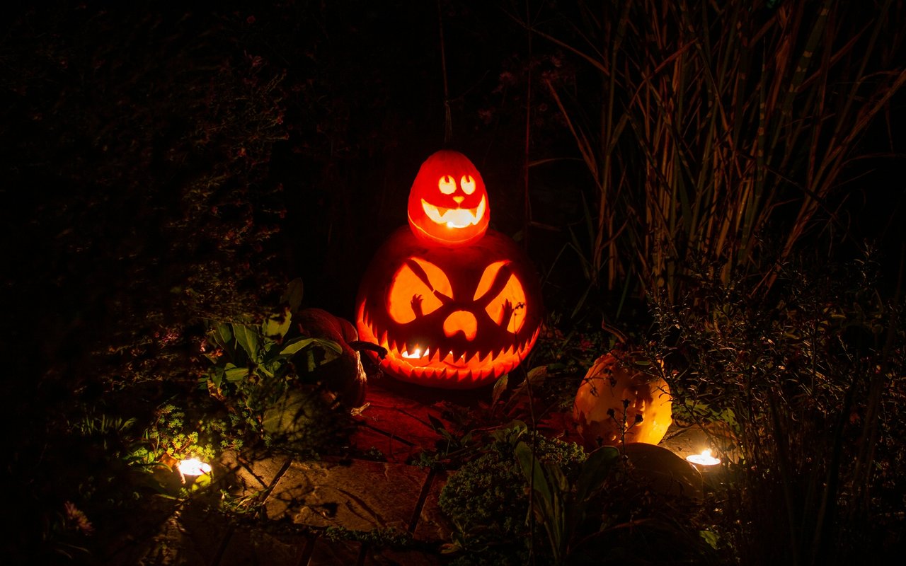 3 Spook-Tacular Phoenix Halloween Events For Families