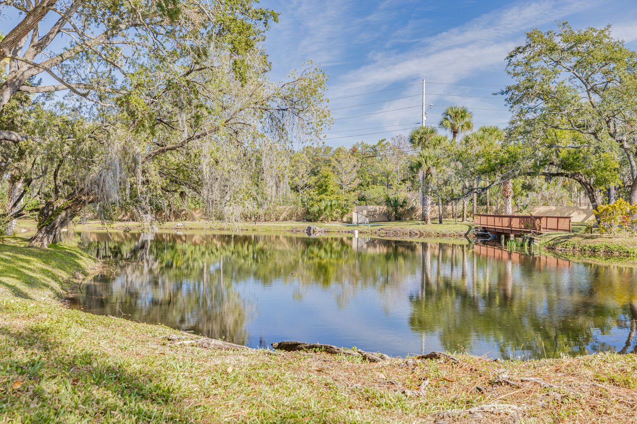 1 Bedroom Condo in Clearwater