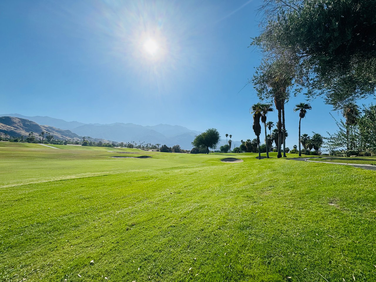 Golf course fairway with palm trees, sand bunkers, and distant mountains.