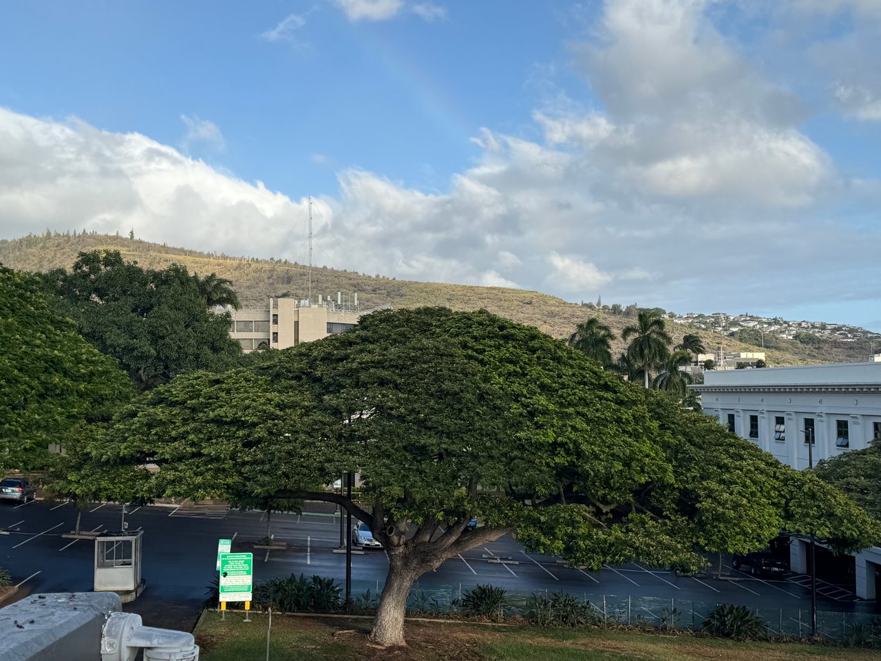 University Court Apts #305