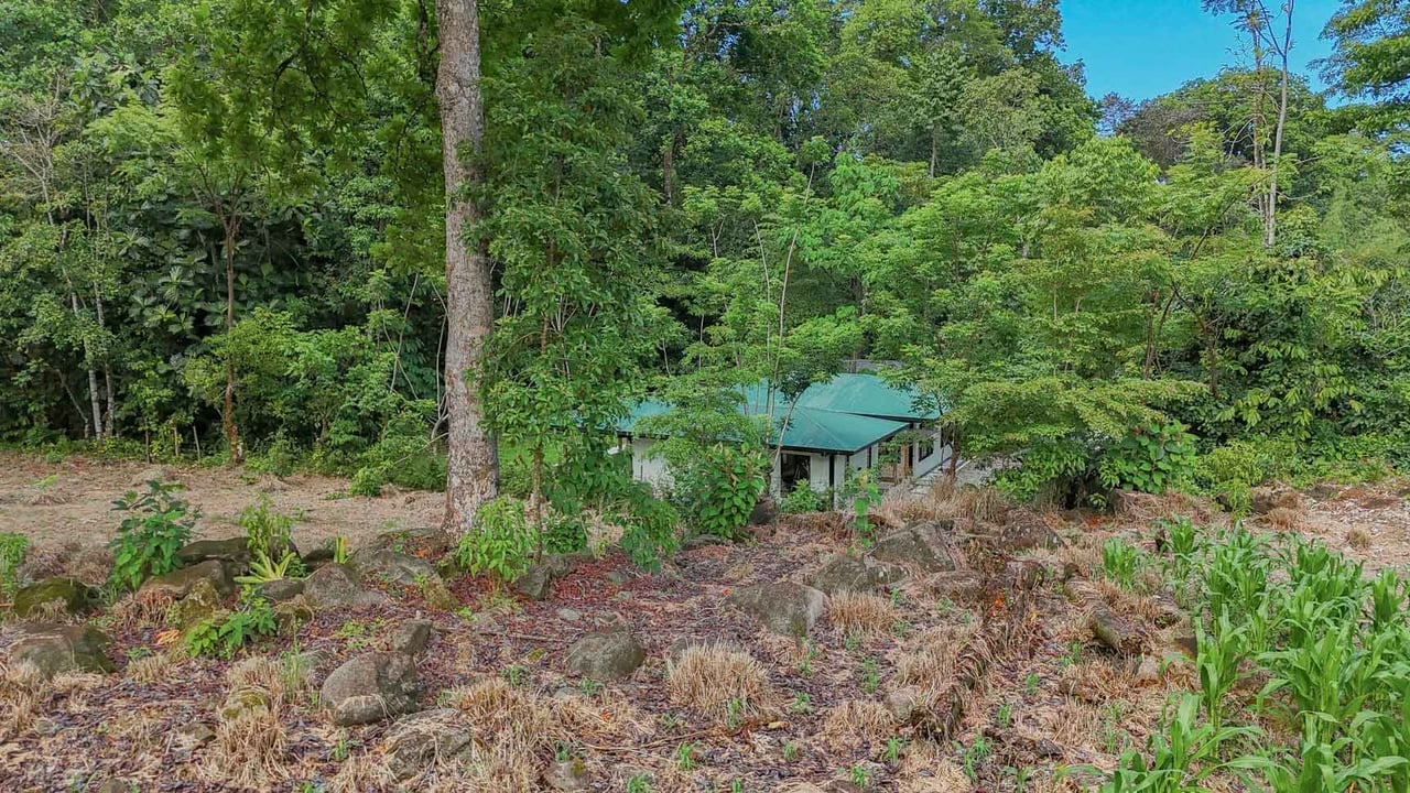 Rainforest Home with River, Jungle Trails & Pool in Ojochal