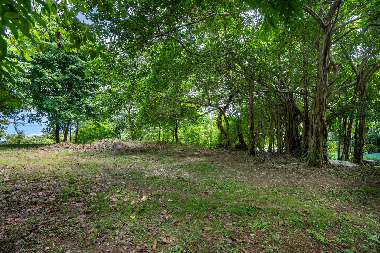 El Tesoro Lot | Premier Ocean-View Homesite in Tamarindo