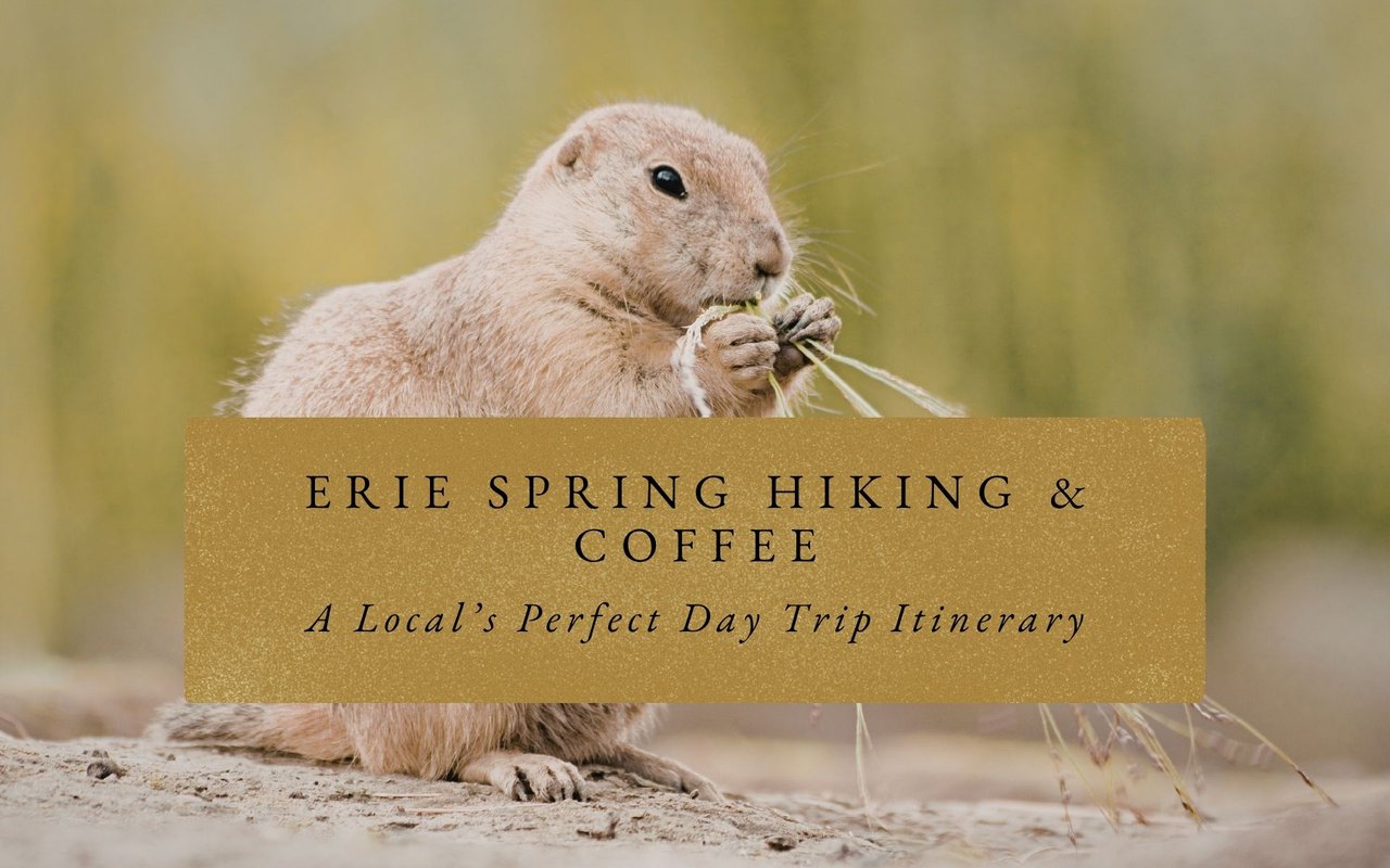 Family hiking wide dirt path to Castle Rock butte base, March prairie views and kids spotting wildlife near trailhead.