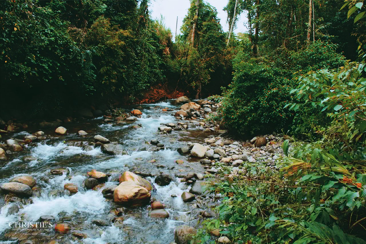 Finca Isla Rainforest Retreat – A Rare Income-Producing Paradise