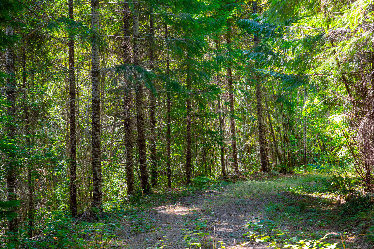 La Duke Woods
