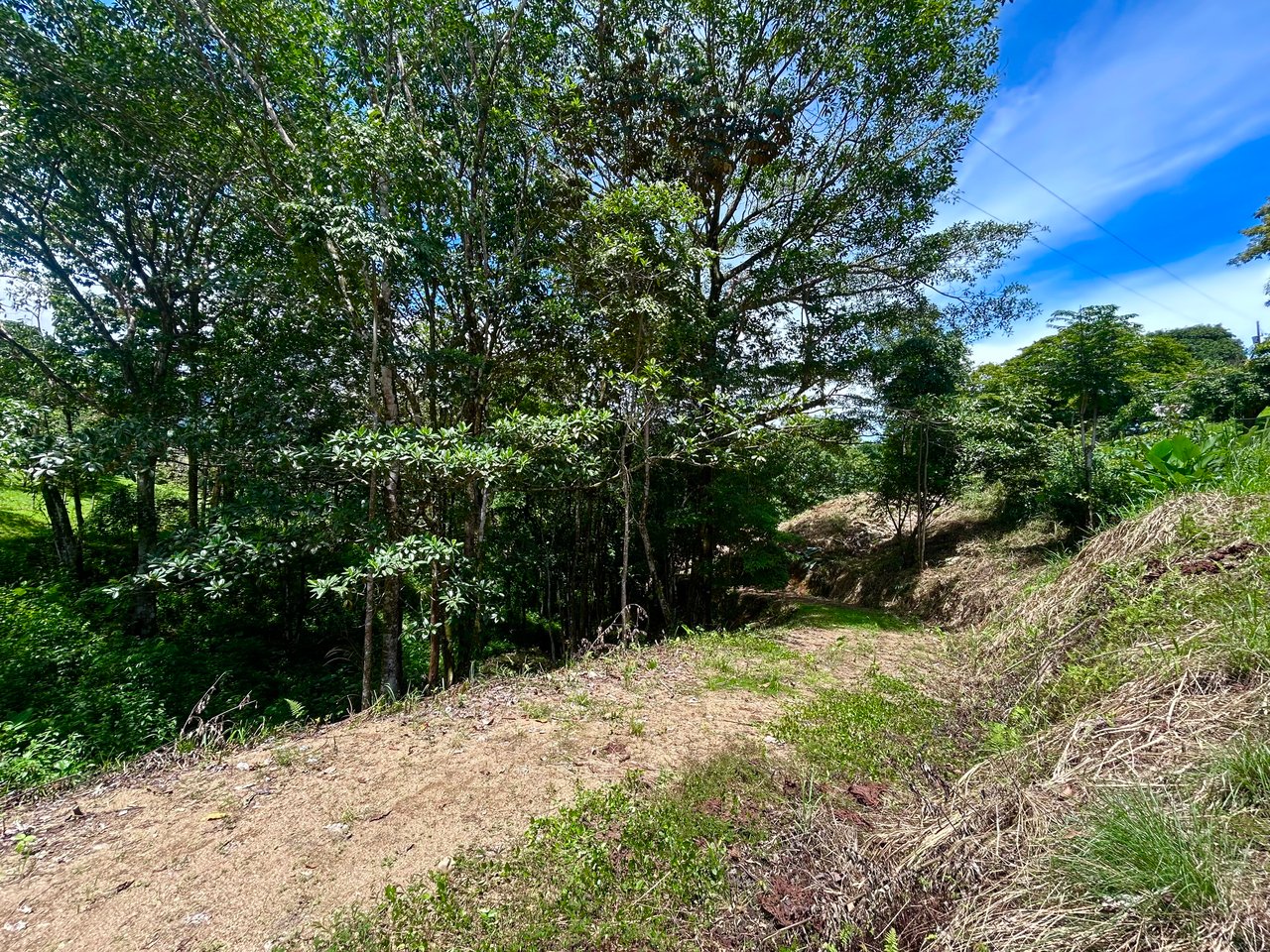Build-Ready Lot in Ojochal’s Calle Cacique | Easy Access & Stunning Mountain Views