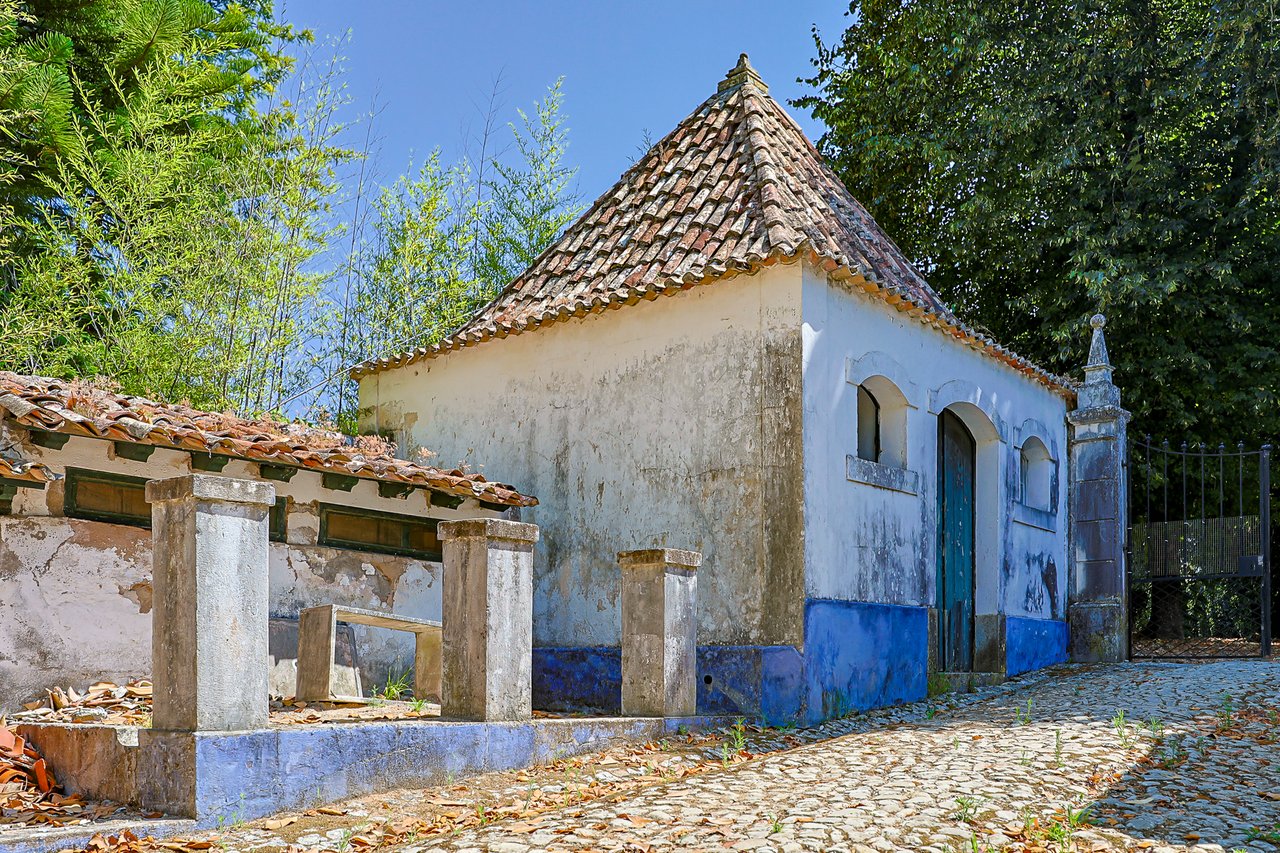 Magnificent 17th-Century Palace with  76,400 m² Estate Near Coimbra