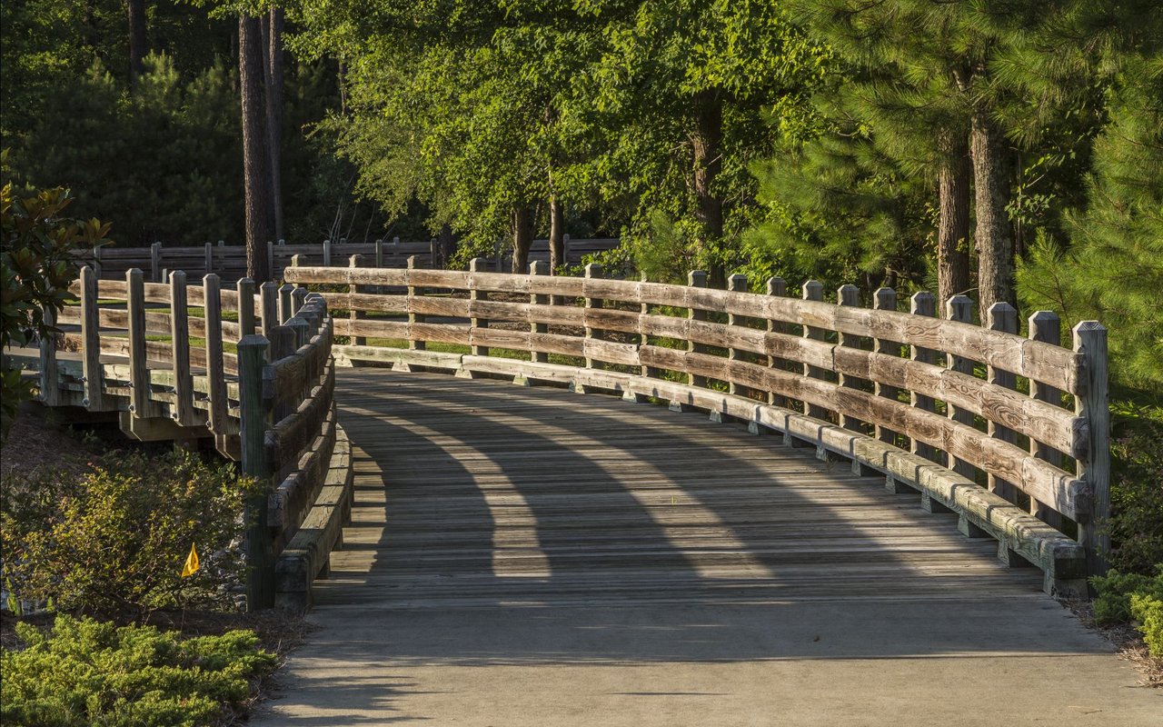 Brunswick Forest
