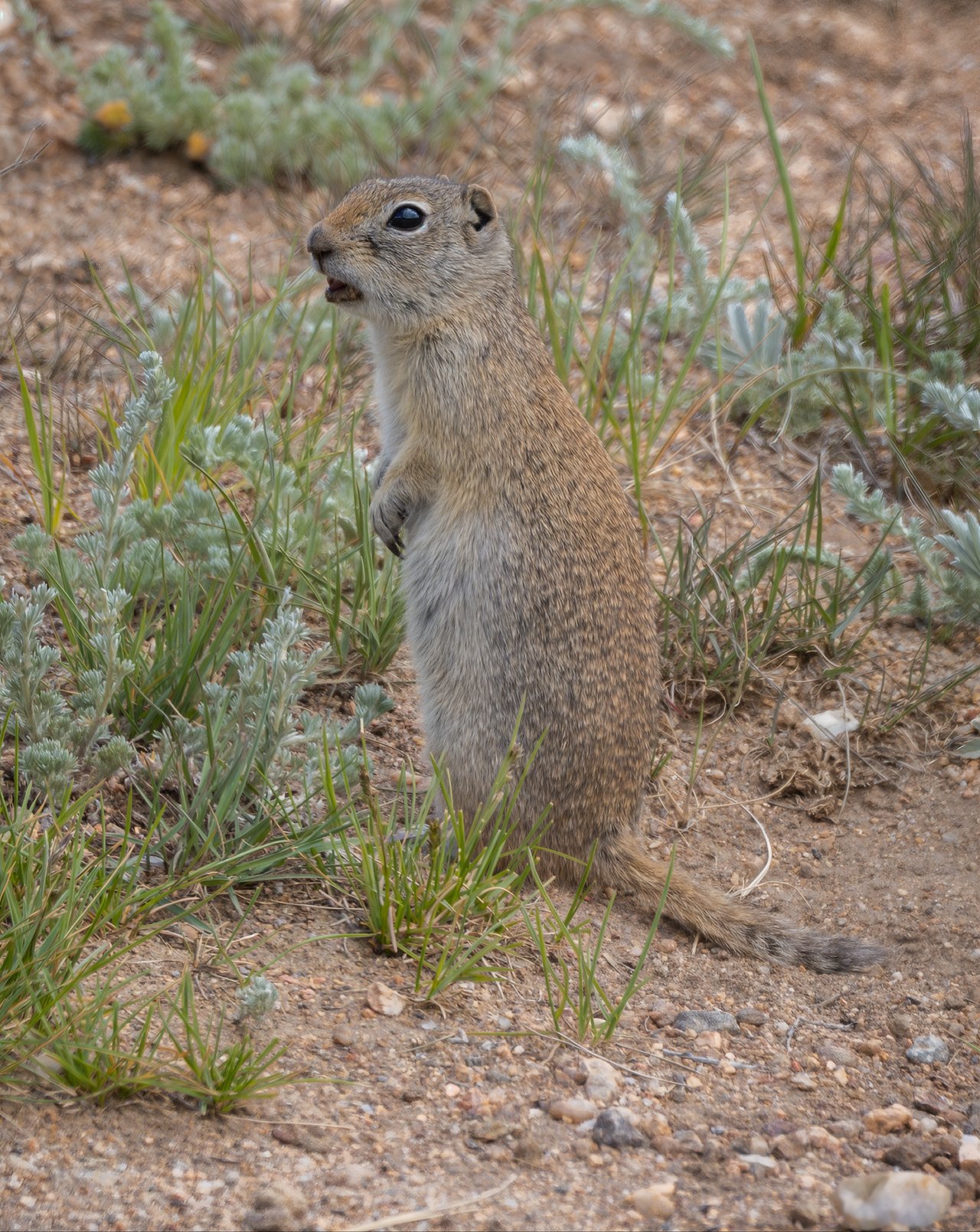 Into the Wild: Discovering Rocky Mountain National Park with Monica