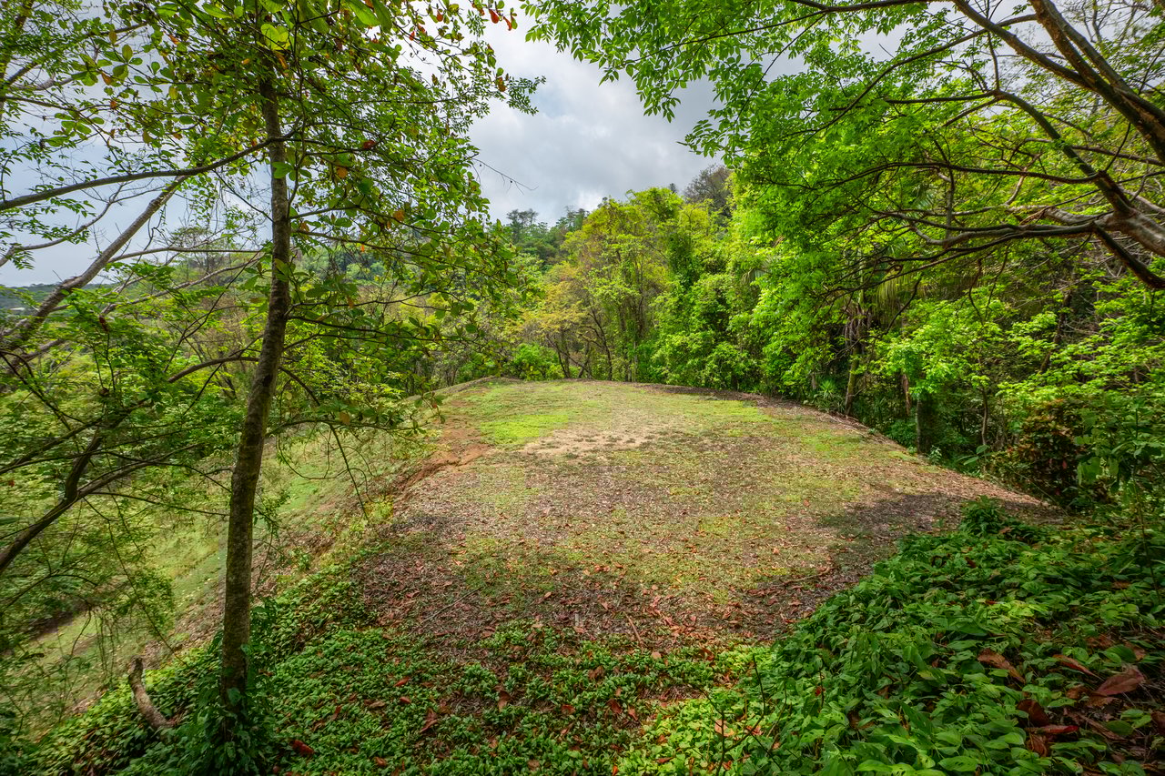 Prime Jungle Retreat with Sunset Views – Build Your Dream