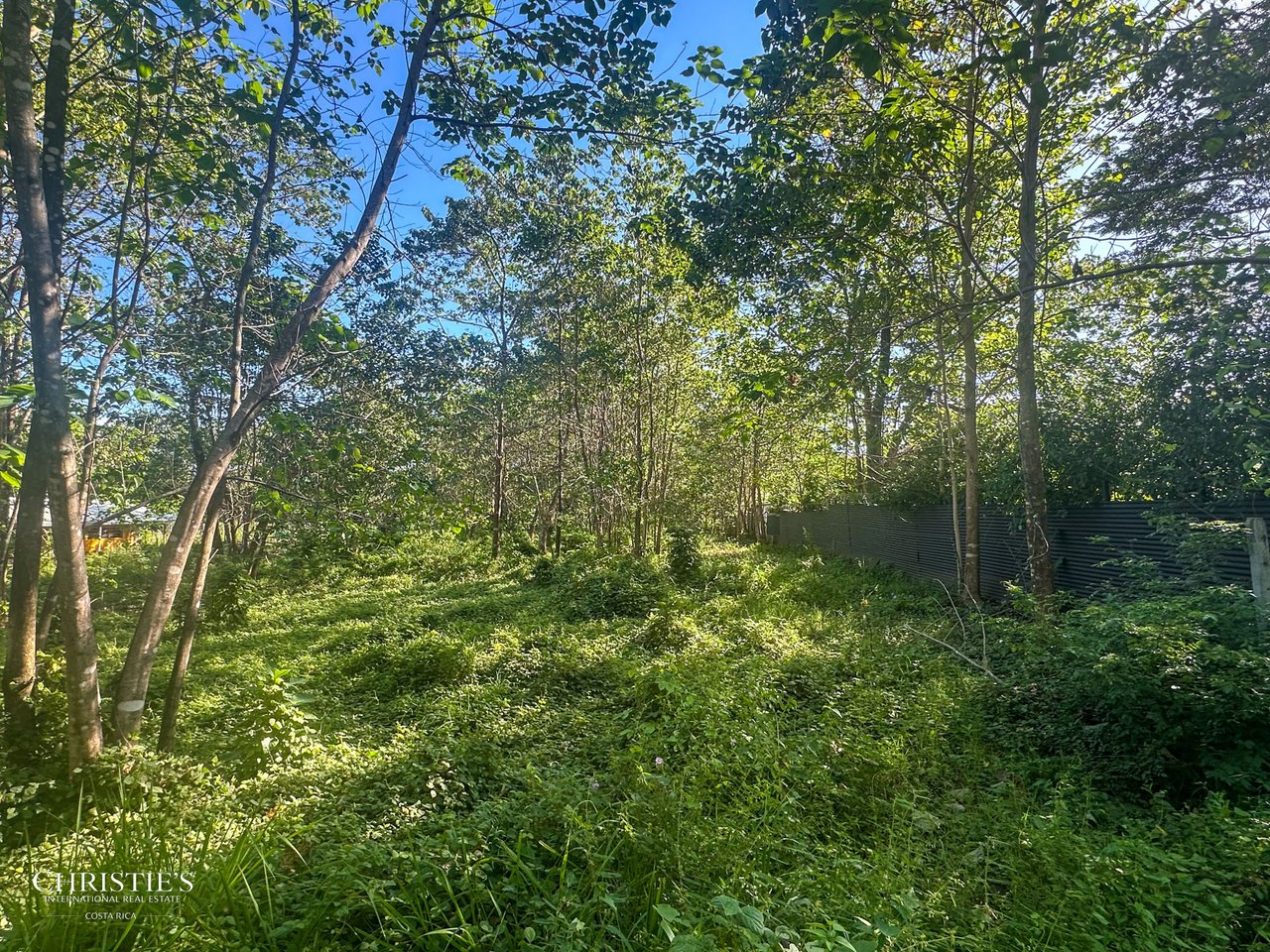 Prime Lot in Playa Avellanas — Walk to the Beach