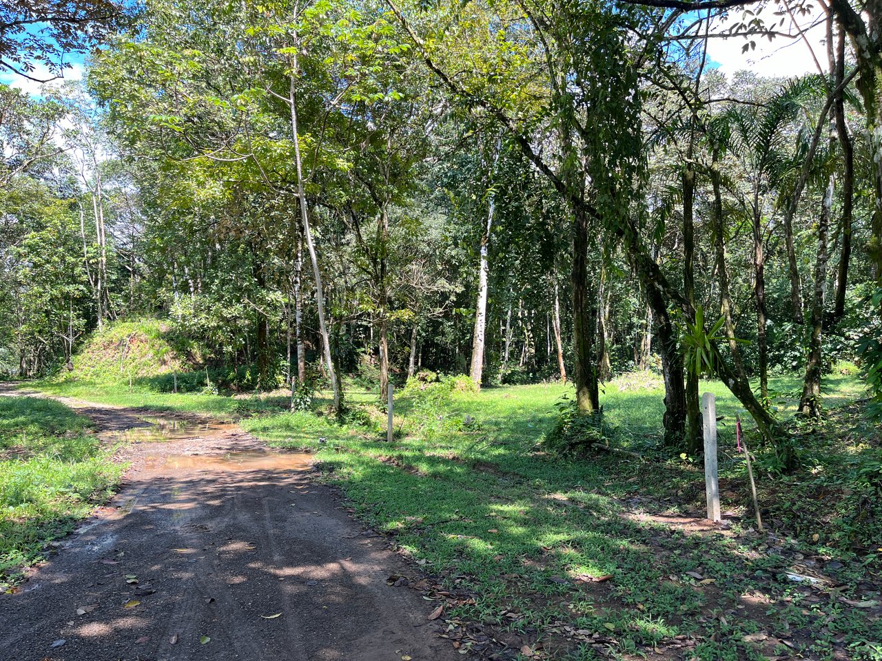 Tortuga Abajo Lot, Just before Ojochal.