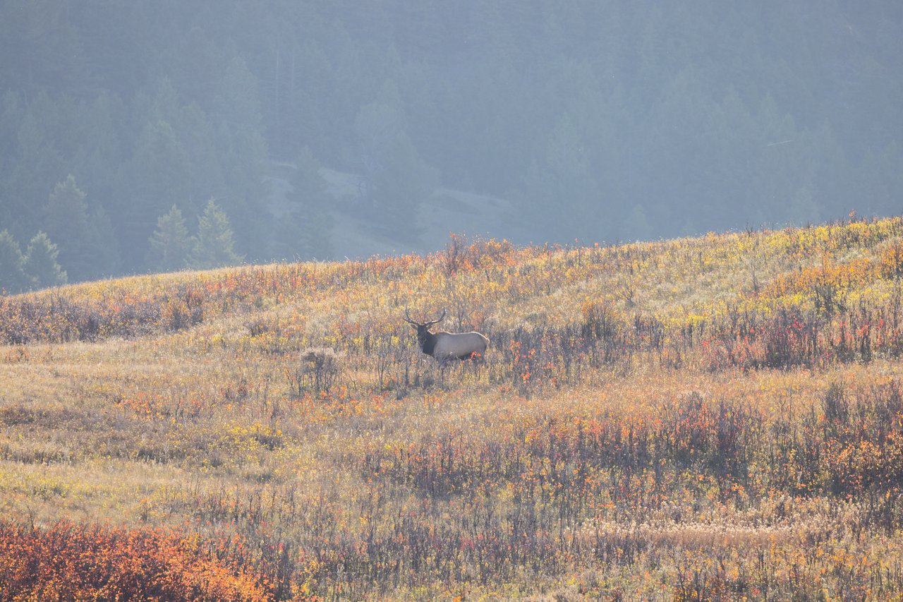 Box Elder Ranch