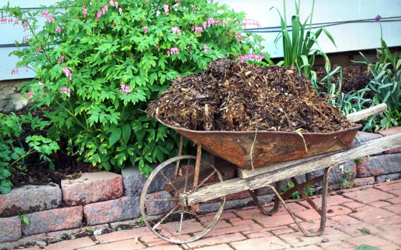Landscaping 101: Wood Mulch vs. Pine Straw