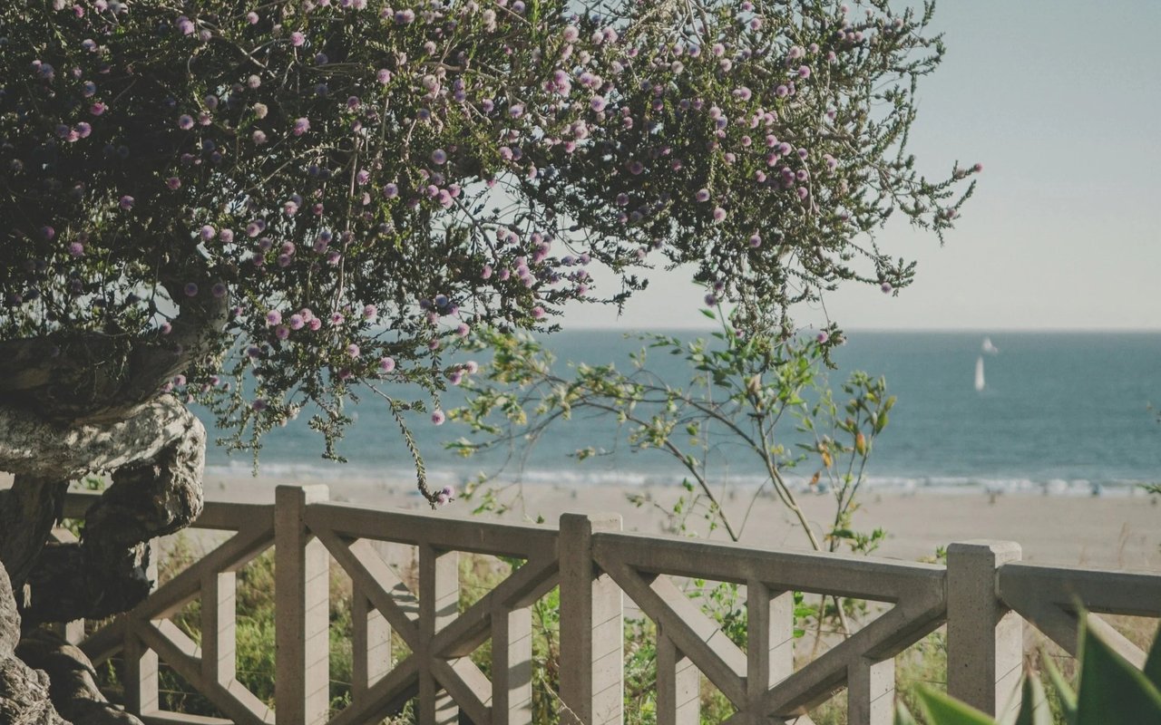 A Midsummer Night’s Dirt